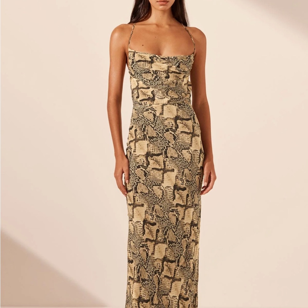 Shona Joy Dress (6)
